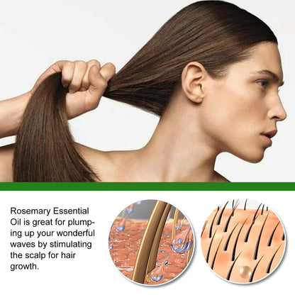 Rosemary Hair Care Essential Oil Anti-loss Hair Growth